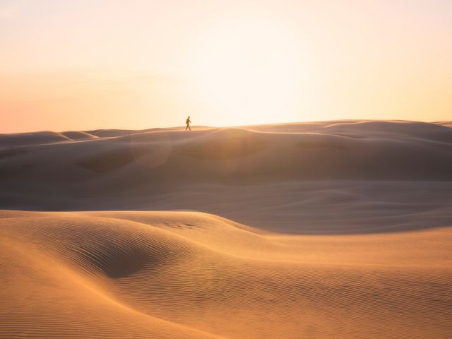 the Stockton Bight Sand Dunes, Port Stephens