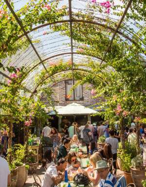 the lush dining space at The Grounds of Alexandria in Sydney