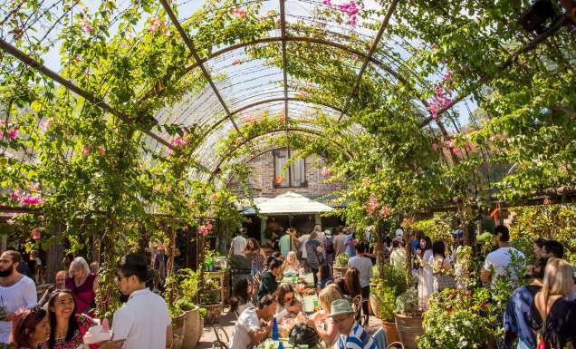 the lush dining space at The Grounds of Alexandria in Sydney