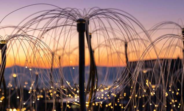 Mildura gets a glow-up with all-new Bruce Munro light installation