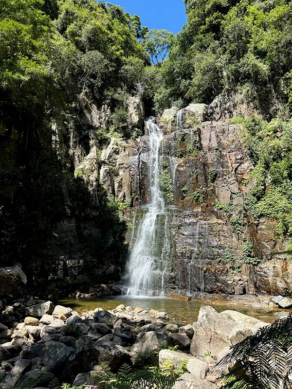 Minamurra Falls