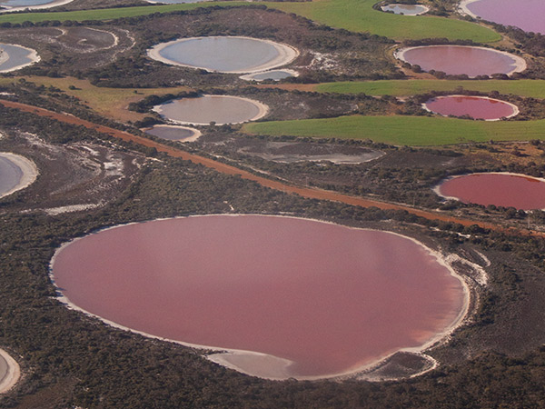 pink lakes in Esperance