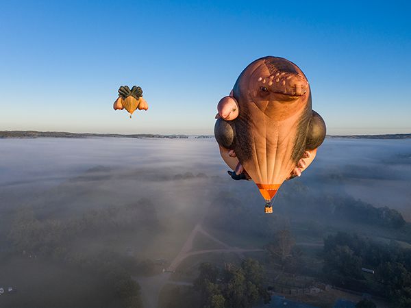 Skywhales Across Australia