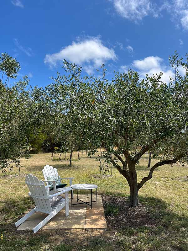 Yirri Grove at Esperance