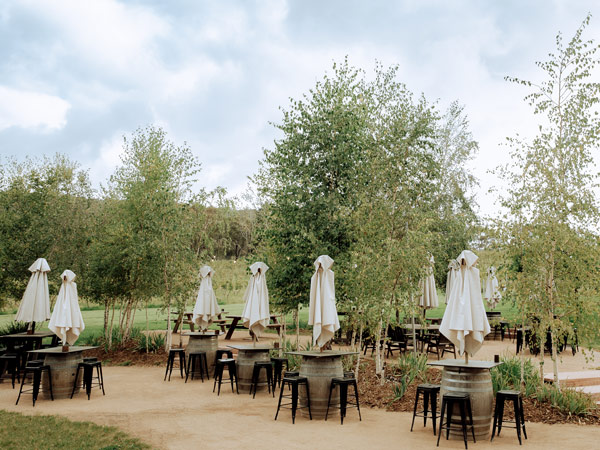 Artemis Wines in the Southern Highlands