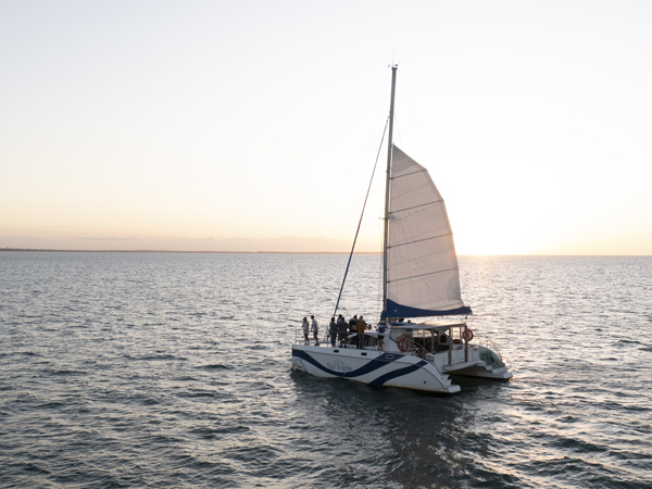 Blue Dolphin Marine Tours Hervey Bay