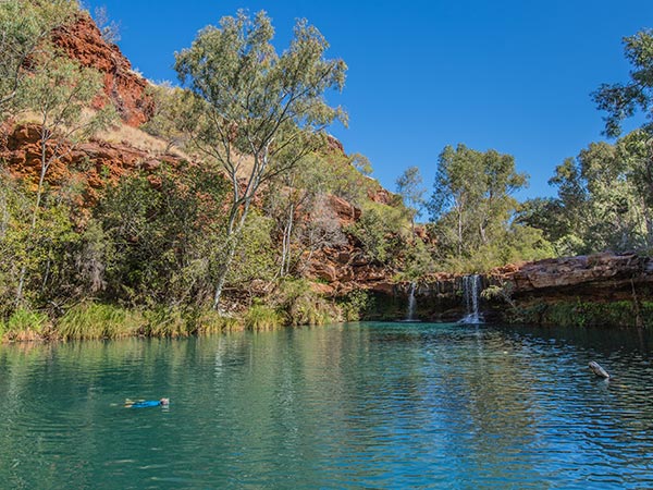 swim in Jubura (Fern Pool), Karijini National Park with the hike collective