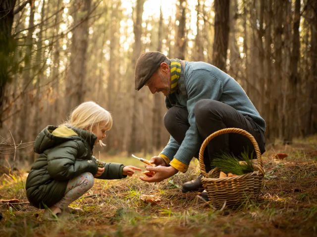 Field to forest Festival in Oberon, NSW