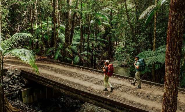 Gidjuum Gulganyi Walk Scrub Creek walking track