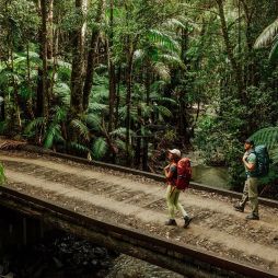 Gidjuum Gulganyi Walk Scrub Creek walking track