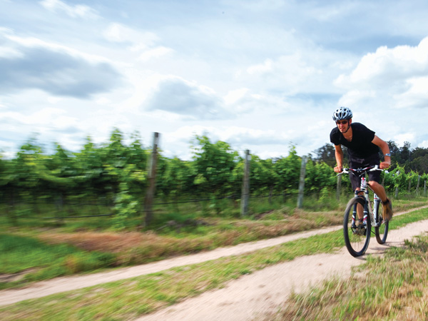 Granite Belt cyclist vineyards