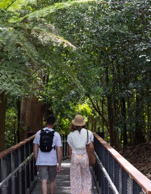 The Forest Lookout Boardwalk in the Blue Mountains Botanic Garden, NSW