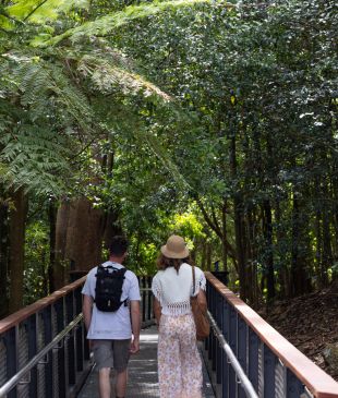 <p><i>This new boardwalk</i> reveals a hidden side of the <strong>Blue Mountains</strong></p>

