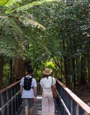 The Forest Lookout Boardwalk in the Blue Mountains Botanic Garden, NSW