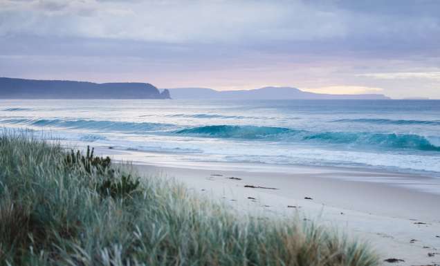 The Neck Bruny Island