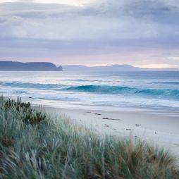 The Neck Bruny Island