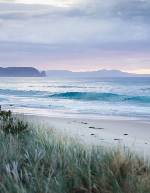 The Neck Bruny Island