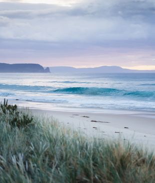 <p><i>The 13</i> <strong>Tasmanian</strong> <i>hikes you can smash out in a day</i></p>
