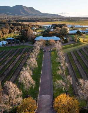 aerial view of pokolbin winery in the hunter valley