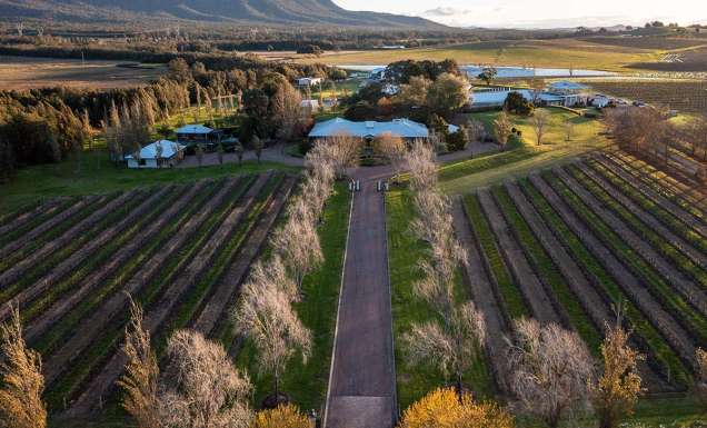 aerial view of pokolbin winery in the hunter valley