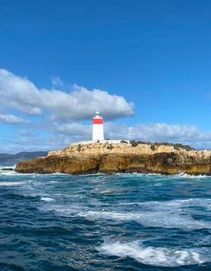 Iron Clay Pot Cruise