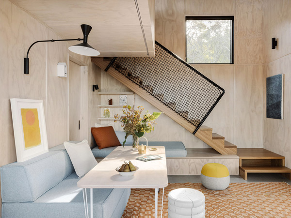 Jacky Winter Waters in Soth Gippsland