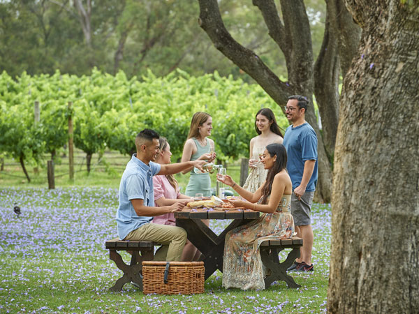 Group picnic at Nikola Estate in the Swan Valley WA