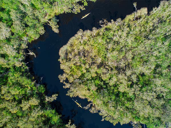 aerial view of noosa everglades