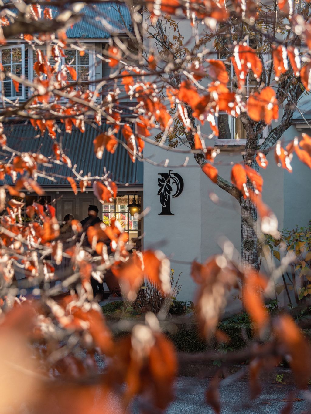 Parklands Country Gardens & Lodges