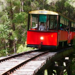 Pemberton Tramway, hidden away in Western Australia’s tranquil south.
