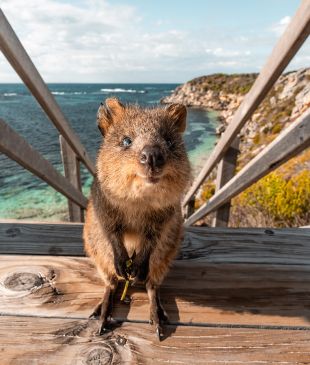 <p><i>2 new multi-day hikes</i> to launch in these iconic <strong>WA</strong> destinations</p>
