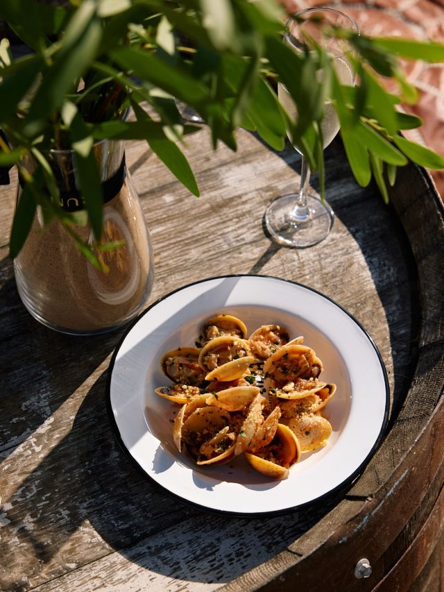 Tasting Australia, SA