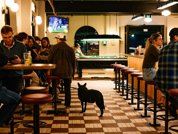 a dog inside The Australian Hotel Ballina pub