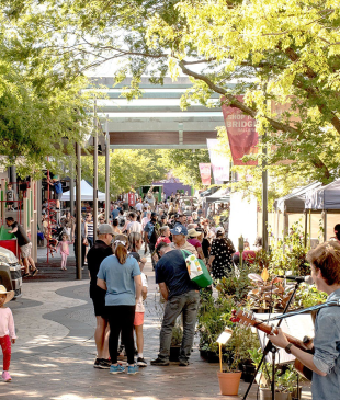 <p><i>8 of the best</i> <strong>Ballarat</strong> markets for one-of-a-kind pieces</p>
