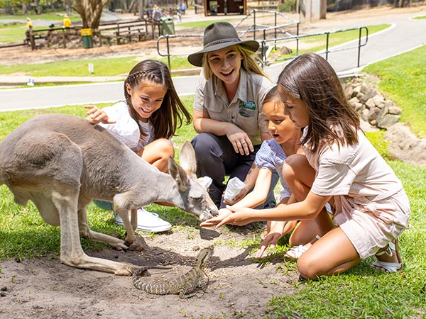 Family feeding a kangaroo with a ranger