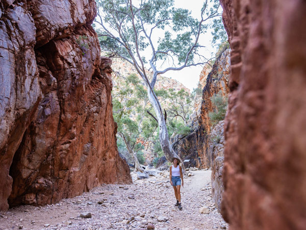 a woman walking past sheer red cliffs at Simpsons Gap