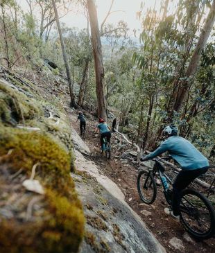 <p><i>This first-of-its-kind cycling trail</i> is <strong>NSW’s</strong> newest adventure hub</p>
