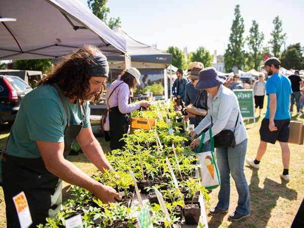 plants for sale at Castlemaine Farmers Market