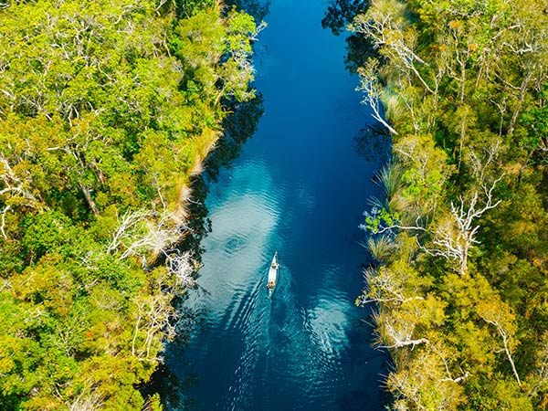 Noosa Everglades view