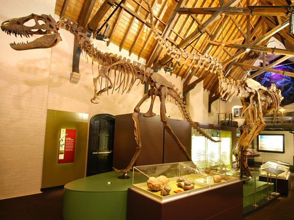 a Dinosaur display at the Australian Mineral and Fossil Museum, Bathurst.