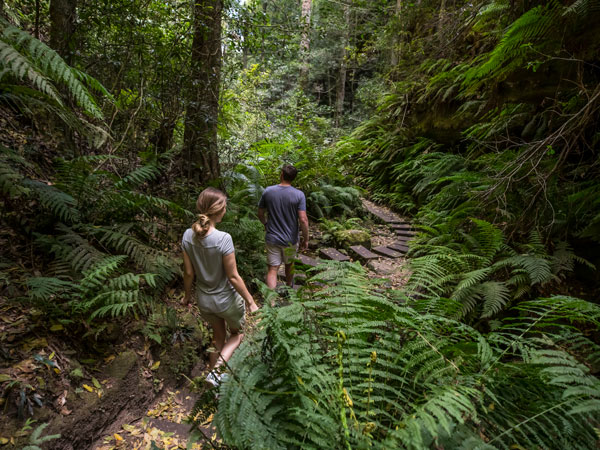 a couple walking along the Grand Canyon Walking Track, Blackheath in the Blue Mountains