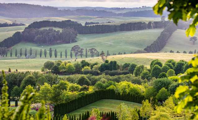 scenic views across Mayfield Garden, Oberon