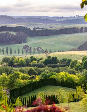 scenic views across Mayfield Garden, Oberon