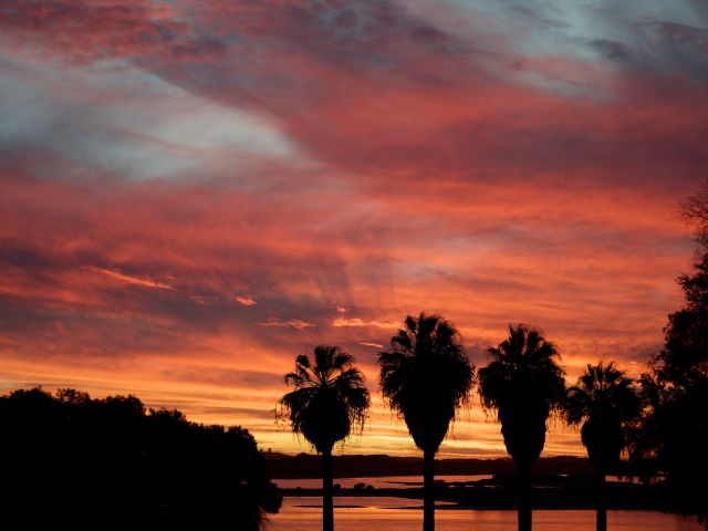 A sunset on Rottnest Island with palm trees