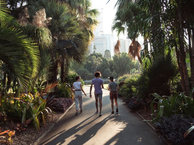 the Royal Botanic Garden Sydney