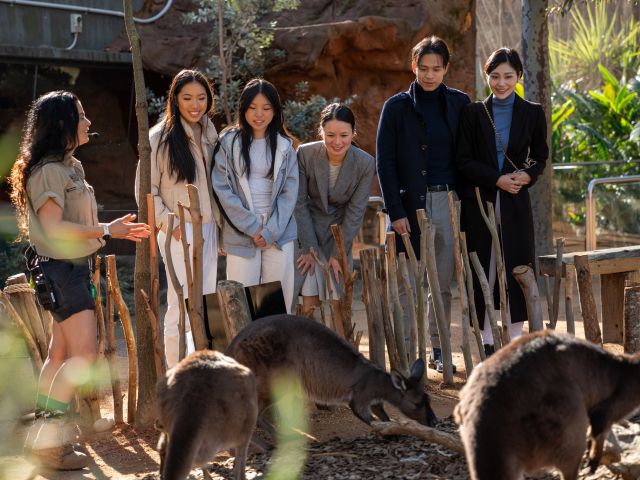 Australian Wildlife Tour at WILD LIFE Sydney Zoo