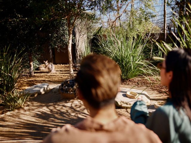 Wildlife Retreat, Taronga Zoo