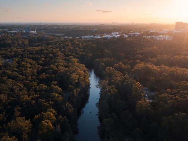 Lane Cove National Park, Sydney from above