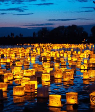 <p><strong>Australia</strong> to <i>shine with the arrival</i> of the Water Lantern Festival</p>
