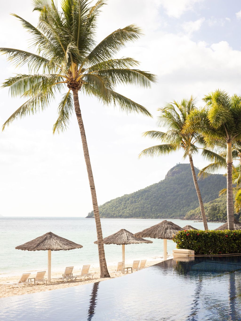 Beach Club pool hamilton